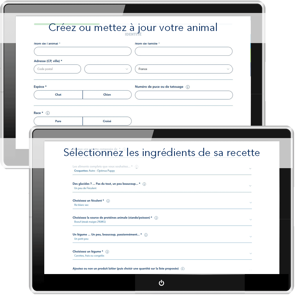 Création de votre animal et choix de la recette